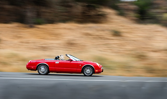 Best Car Shipping Options for Long Distances