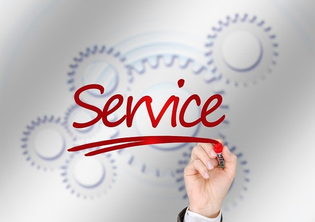 best vehicle shipping services