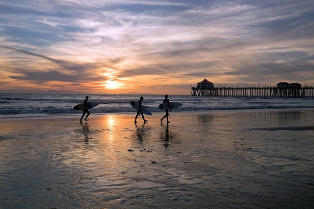 california vehicle shipping companies