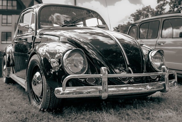 california vehicle shipping companies
