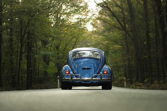 Car Shipping for Relocation