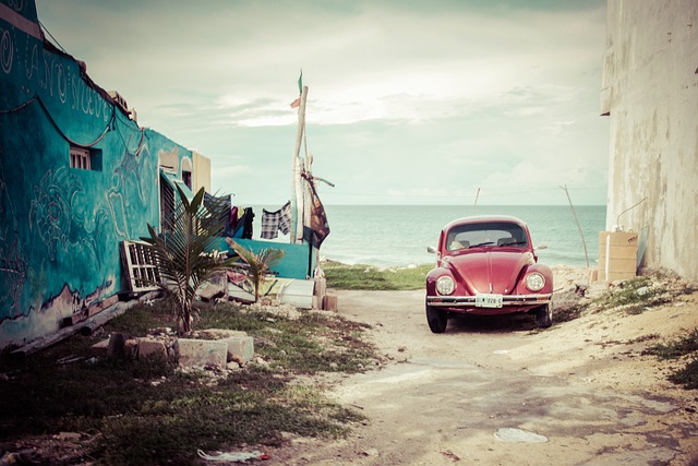 Streamlining College Moves: Car Shipping for Relocations