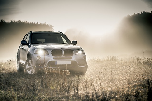Affordable Auto Shipping: Navigating Cost-Effective Car Shipping Service Providers
