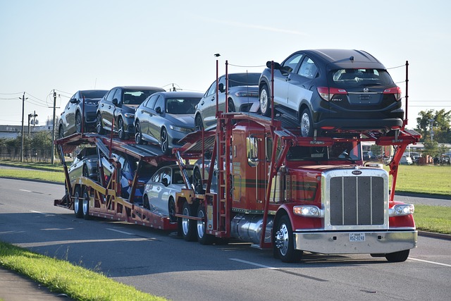 Choosing a Reliable Car Carrier