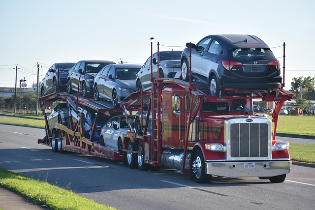 Choosing a Reliable Car Carrier