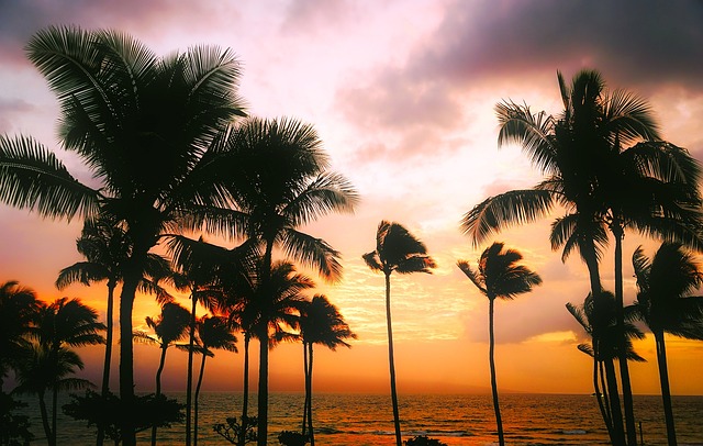 cost to ship vehicle to hawaii