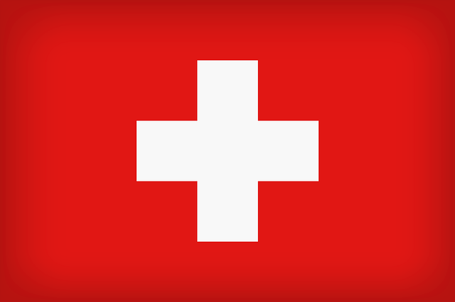 cross country auto transport companies