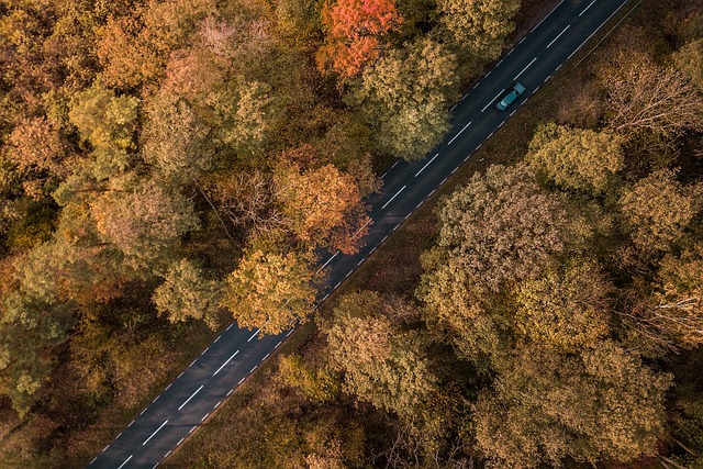 cross country car moving companies