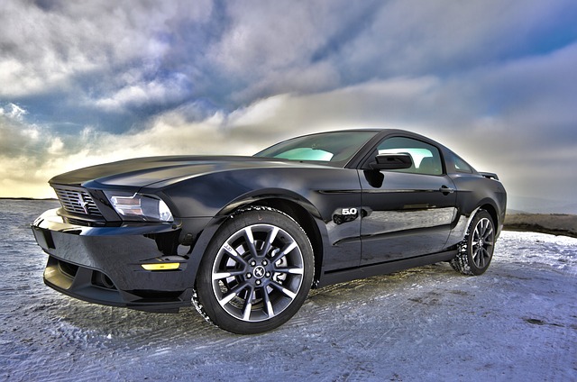 Insurance for Car Shipping
