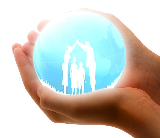 Cost-Effective Car Transport: Navigating Insurance Coverage Options