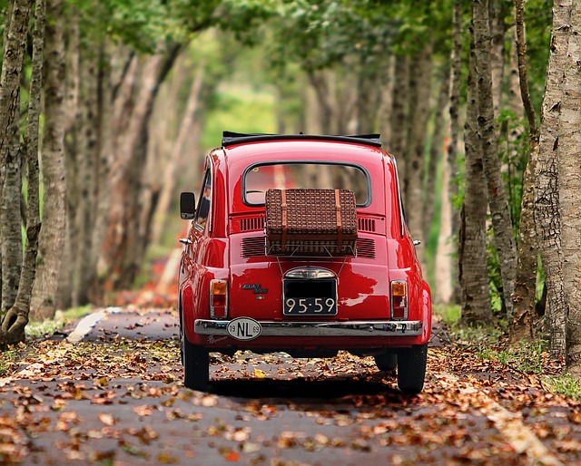 Optimizing Interstate Car Shipping: Speed Up Your Move Across Country