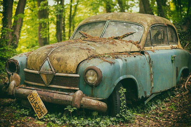 moving cross country in a car