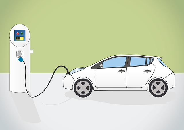 Shipping Electric Vehicles