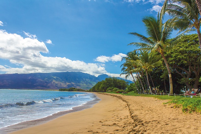 shipping vehicle from hawaii to mainland