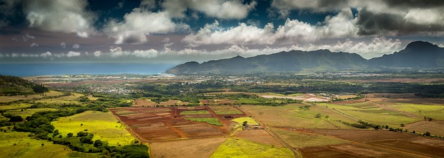 Streamline: Shipping Vehicle From Hawaii to Mainland Made Easy