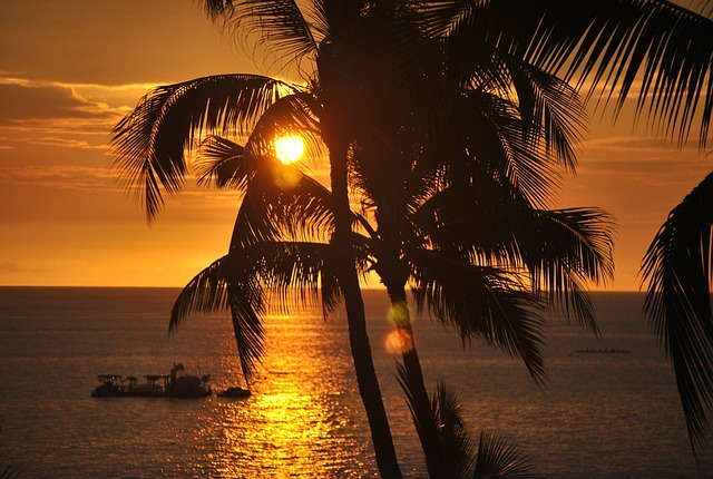 shipping vehicle from hawaii to mainland