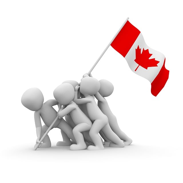 vehicle shipping canada