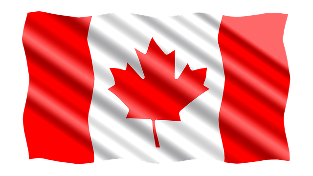 vehicle shipping canada