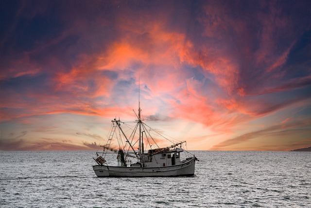Navigating International Vehicle Shipping Companies in Florida for Seamless Overseas Moves