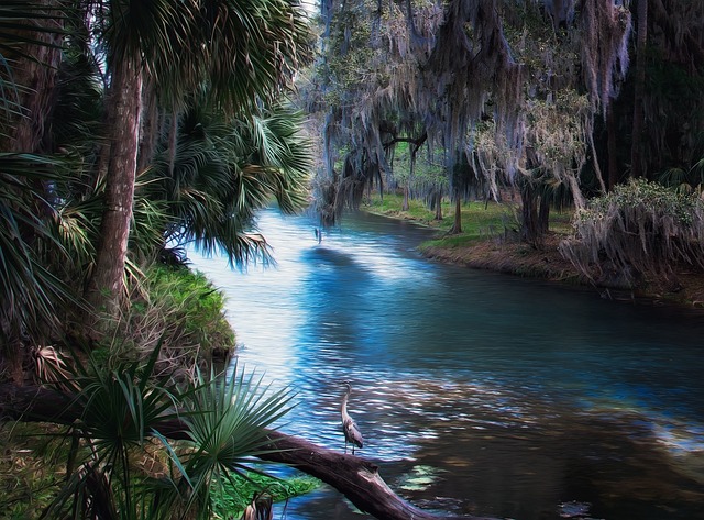 Affordably Ship Your Vehicle Between States: Florida Guide