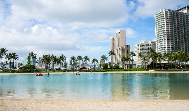 vehicle shipping hawaii