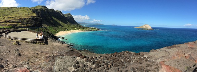 vehicle shipping hawaii