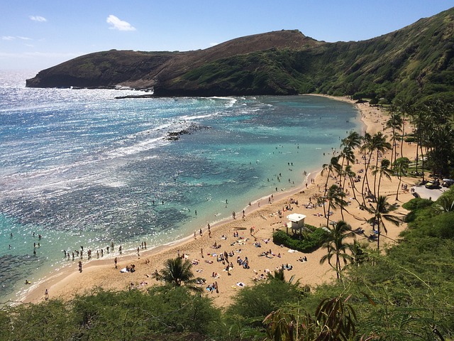 vehicle shipping to hawaii