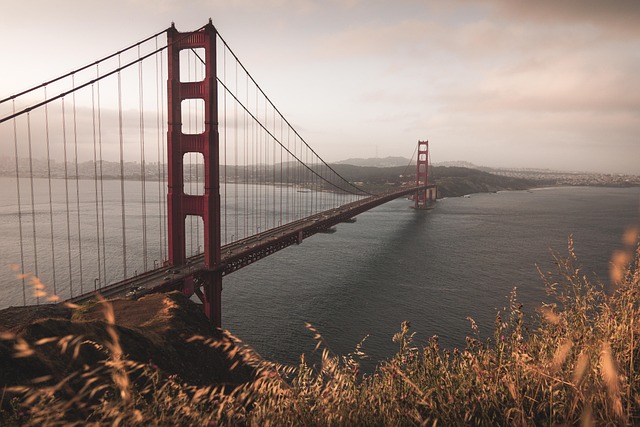 california vehicle shipping companies
