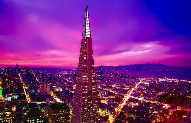 california vehicle shipping companies