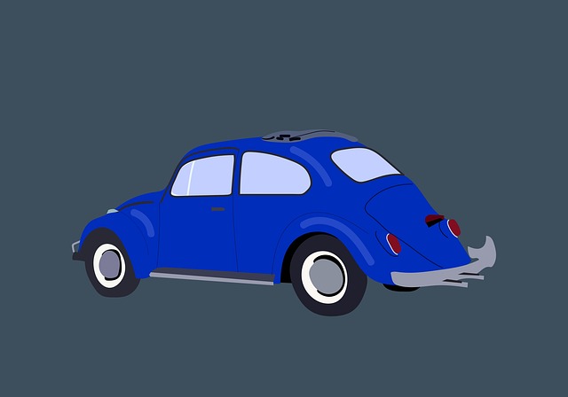 International Car Shipping Regulations