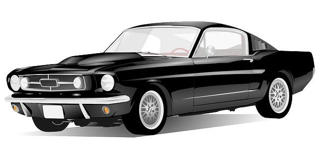 send car across country