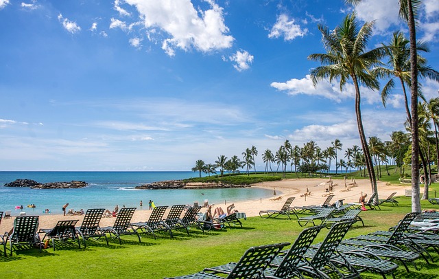 shipping vehicle from hawaii to mainland