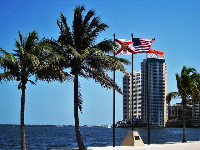 vehicle shipping companies in florida