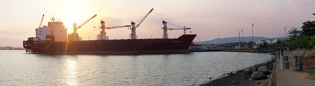 vehicle shipping company
