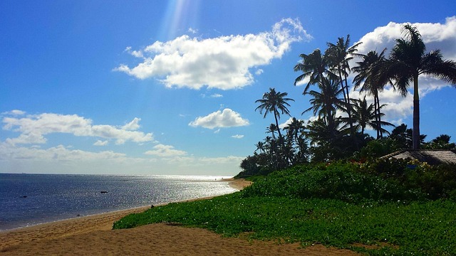 vehicle shipping hawaii