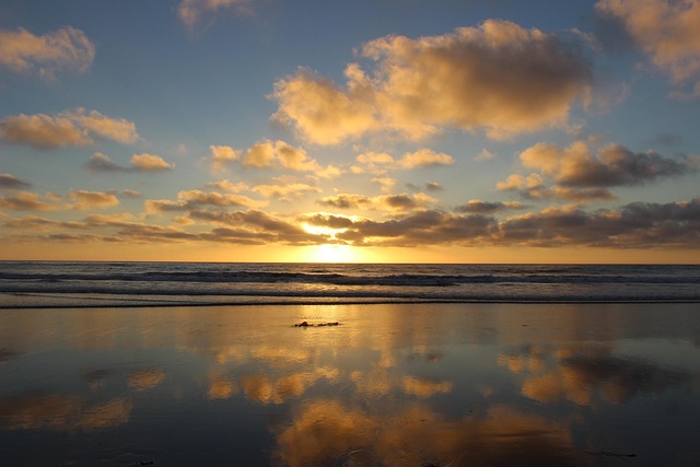 vehicle shipping san diego