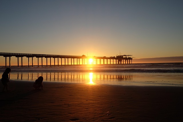 vehicle shipping san diego