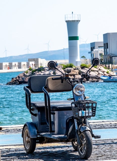 Vehicle Transport Options